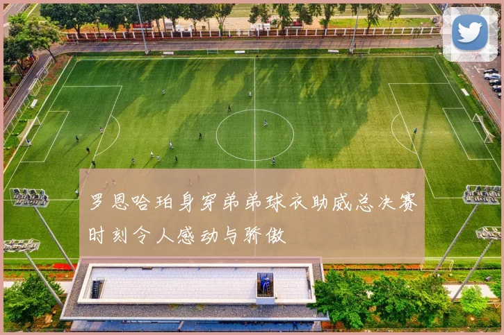 罗恩哈珀身穿弟弟球衣助威总决赛时刻令人感动与骄傲