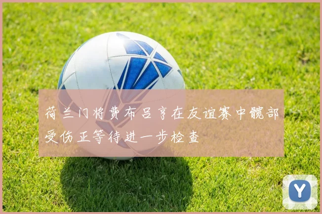 荷兰门将费布吕亨在友谊赛中髋部受伤正等待进一步检查