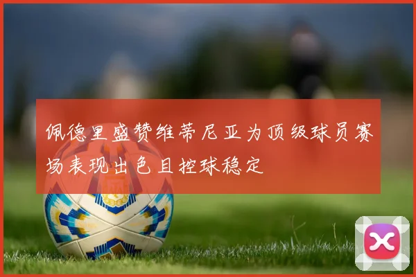 佩德里盛赞维蒂尼亚为顶级球员赛场表现出色且控球稳定