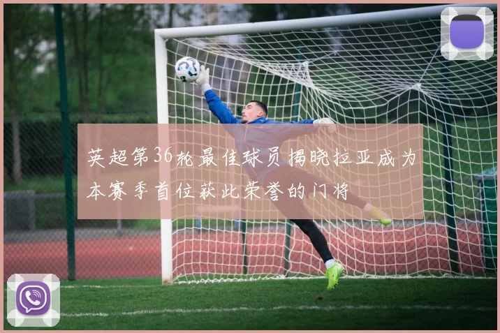 英超第36轮最佳球员揭晓拉亚成为本赛季首位获此荣誉的门将