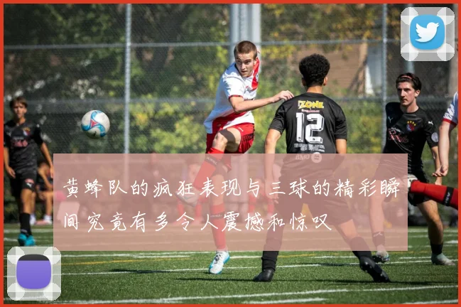 黄蜂队的疯狂表现与三球的精彩瞬间究竟有多令人震撼和惊叹